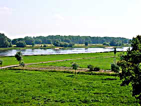 Elbe mit Elbauen